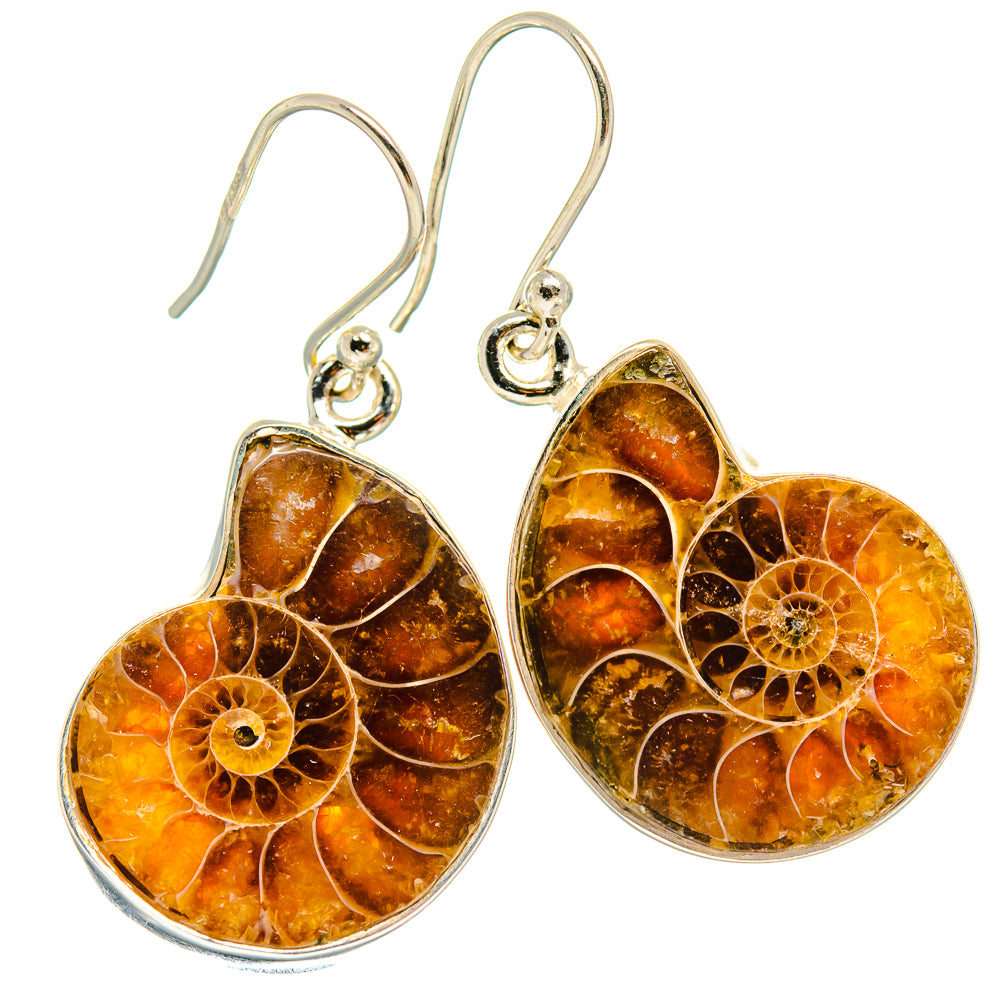 Ammonite Fossil Earrings handcrafted by Ana Silver Co - EARR424351