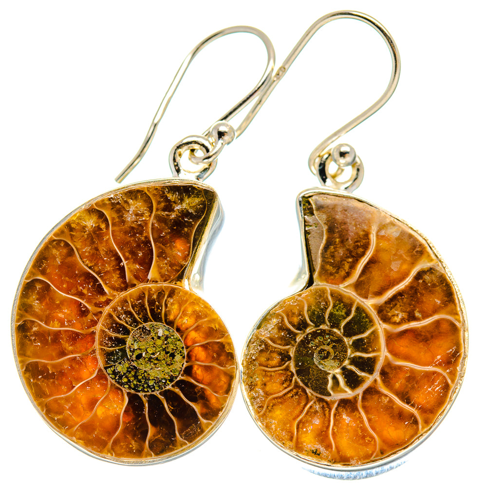 Ammonite Fossil Earrings handcrafted by Ana Silver Co - EARR424365
