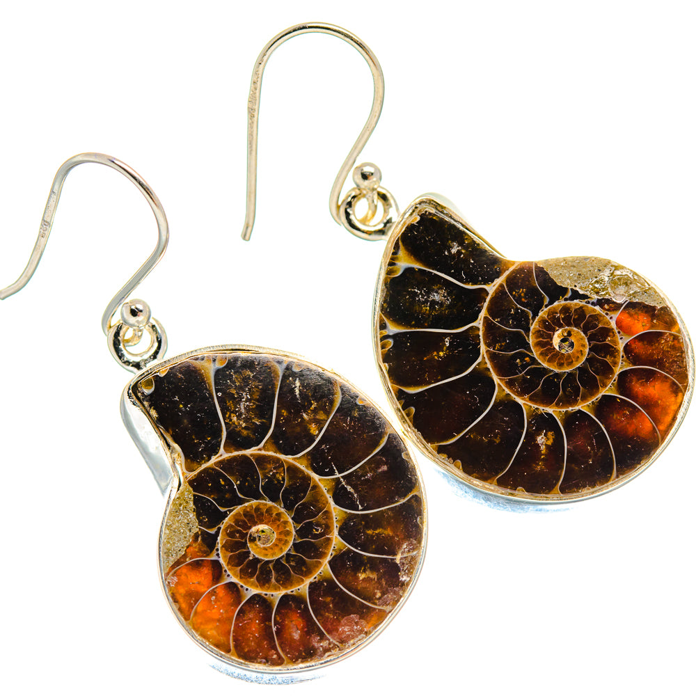 Ammonite Fossil Earrings handcrafted by Ana Silver Co - EARR424422