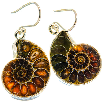 Ammonite Fossil Earrings handcrafted by Ana Silver Co - EARR424442