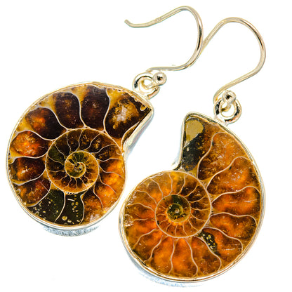 Ammonite Fossil Earrings handcrafted by Ana Silver Co - EARR424449