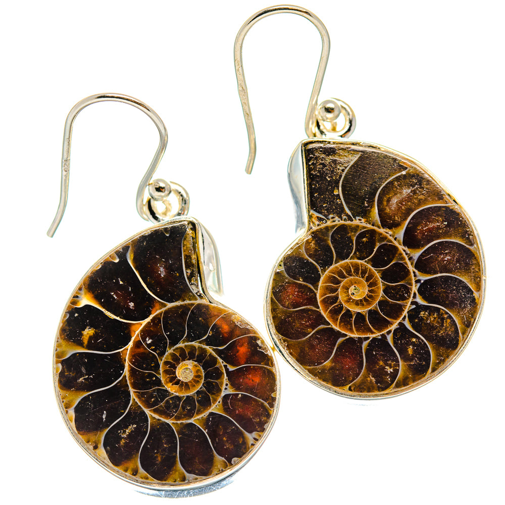 Ammonite Fossil Earrings handcrafted by Ana Silver Co - EARR424479