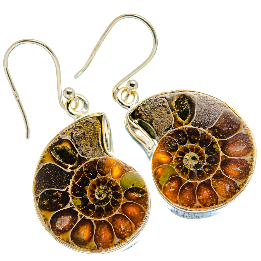 Ammonite Fossil Earrings handcrafted by Ana Silver Co - EARR424484 - Photo 2