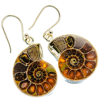 Ammonite Fossil Earrings handcrafted by Ana Silver Co - EARR424484 - Photo 2