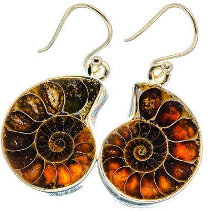 Ammonite Fossil Earrings handcrafted by Ana Silver Co - EARR424498