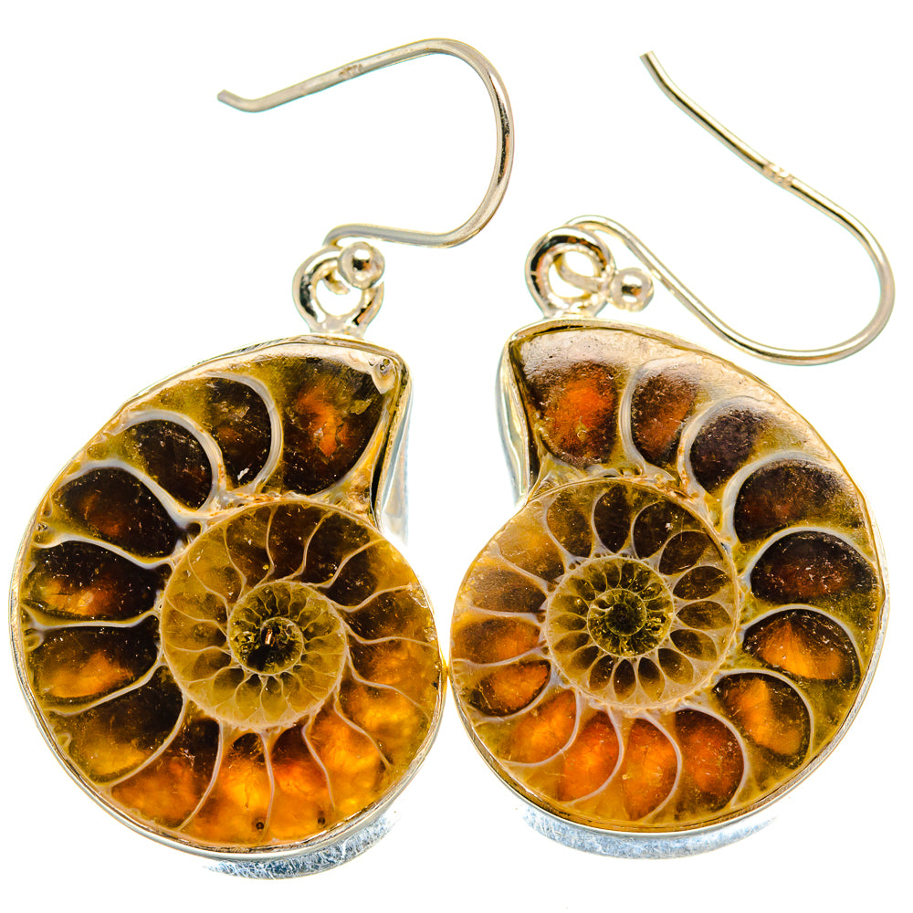 Ammonite Fossil Earrings handcrafted by Ana Silver Co - EARR424535