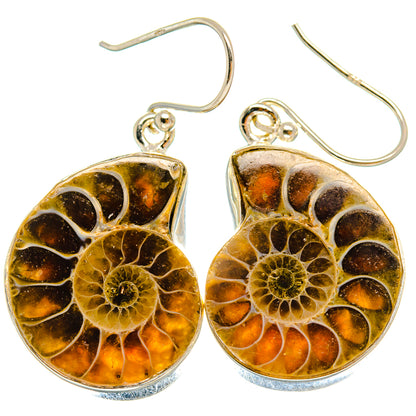 Ammonite Fossil Earrings handcrafted by Ana Silver Co - EARR424535