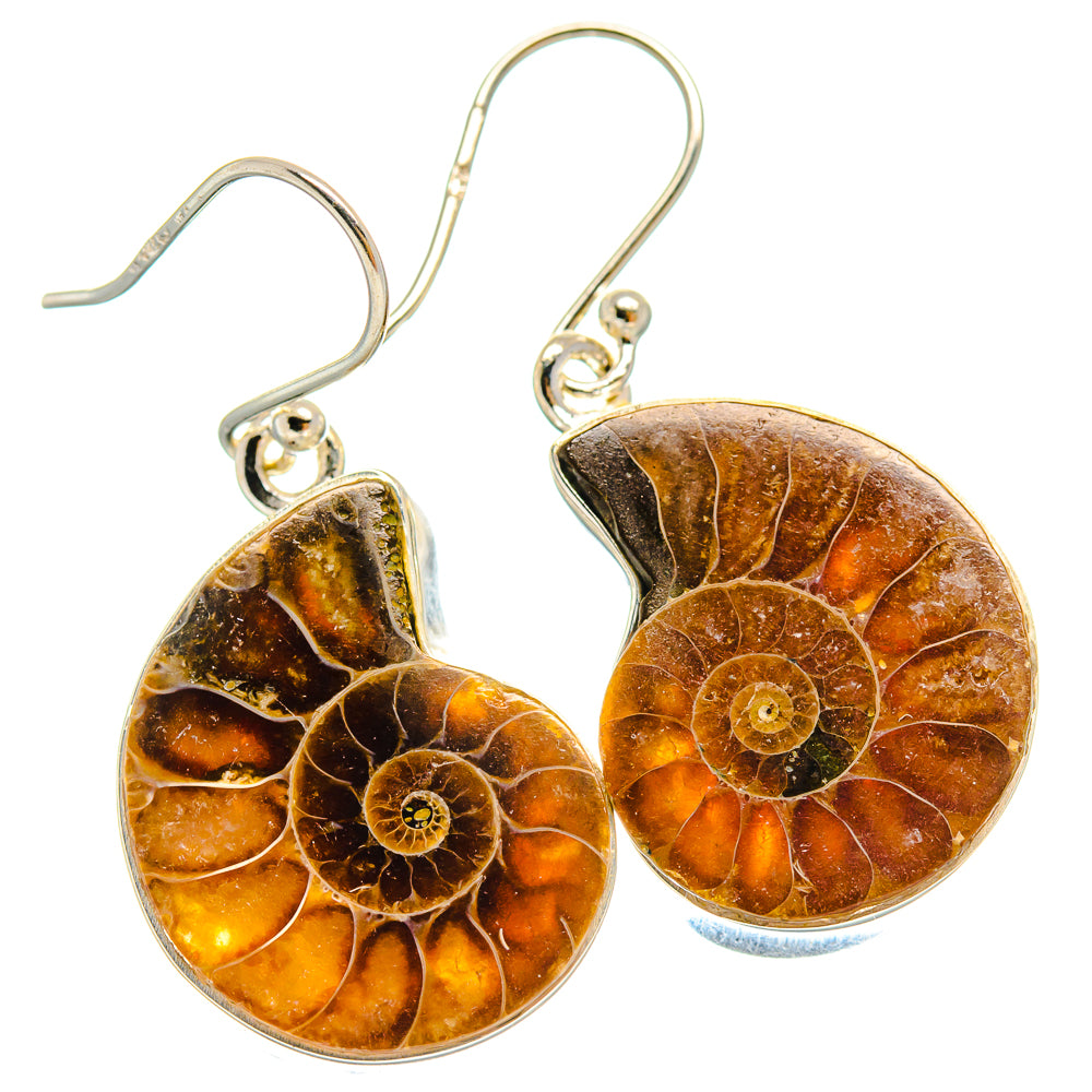 Ammonite Fossil Earrings handcrafted by Ana Silver Co - EARR424544 - Photo 2