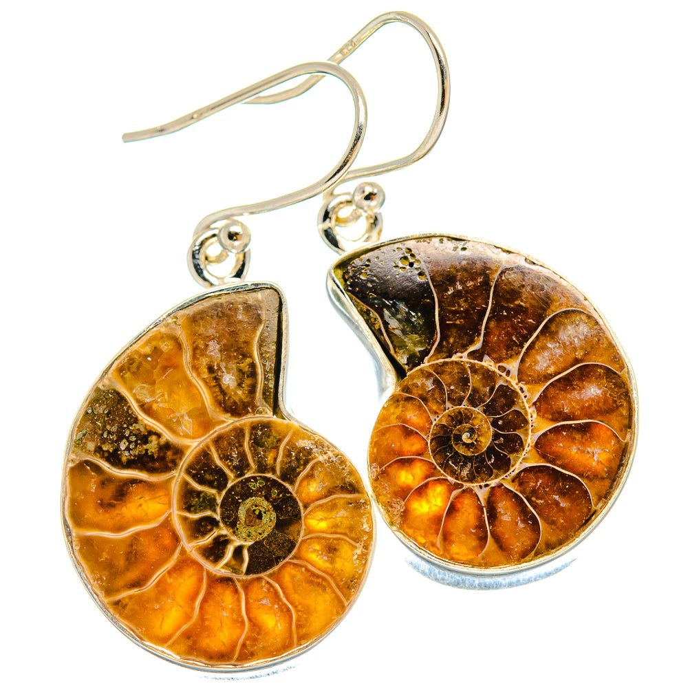 Ammonite Fossil Earrings handcrafted by Ana Silver Co - EARR424568 - Photo 2