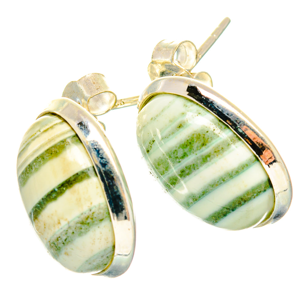 Ocean Jasper Earrings handcrafted by Ana Silver Co - EARR426959 - Photo 2