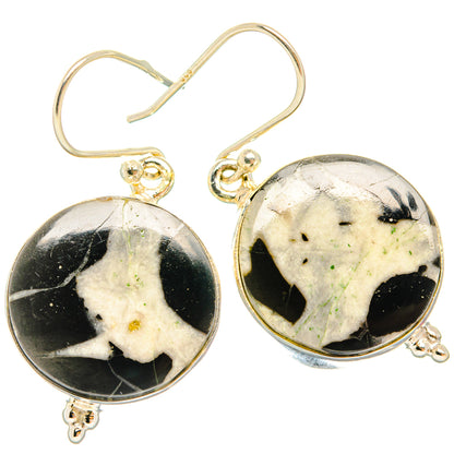 Septarian geode earrings with round cabochons, black/white veined stones, silver hooks