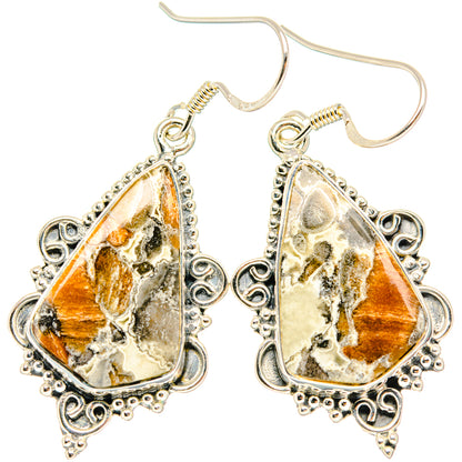Ocean Jasper Earrings handcrafted by Ana Silver Co - EARR428482 - Photo 2
