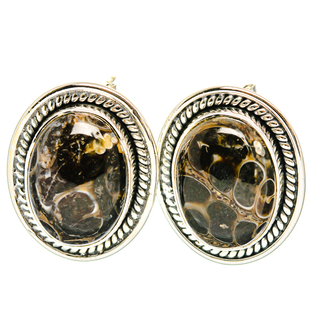 Turritella Agate Earrings handcrafted by Ana Silver Co - EARR428497 - Photo 2