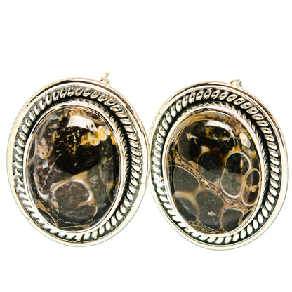 Turritella Agate Earrings handcrafted by Ana Silver Co - EARR428497 - Photo 2