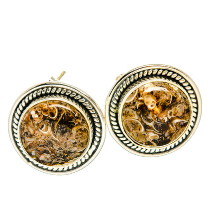 Turritella Agate Earrings handcrafted by Ana Silver Co - EARR428618 - Photo 2