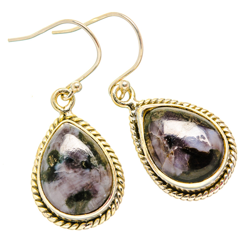 Teardrop gabbro stone earrings with rope-edged bezel and hook backs in sterling silver