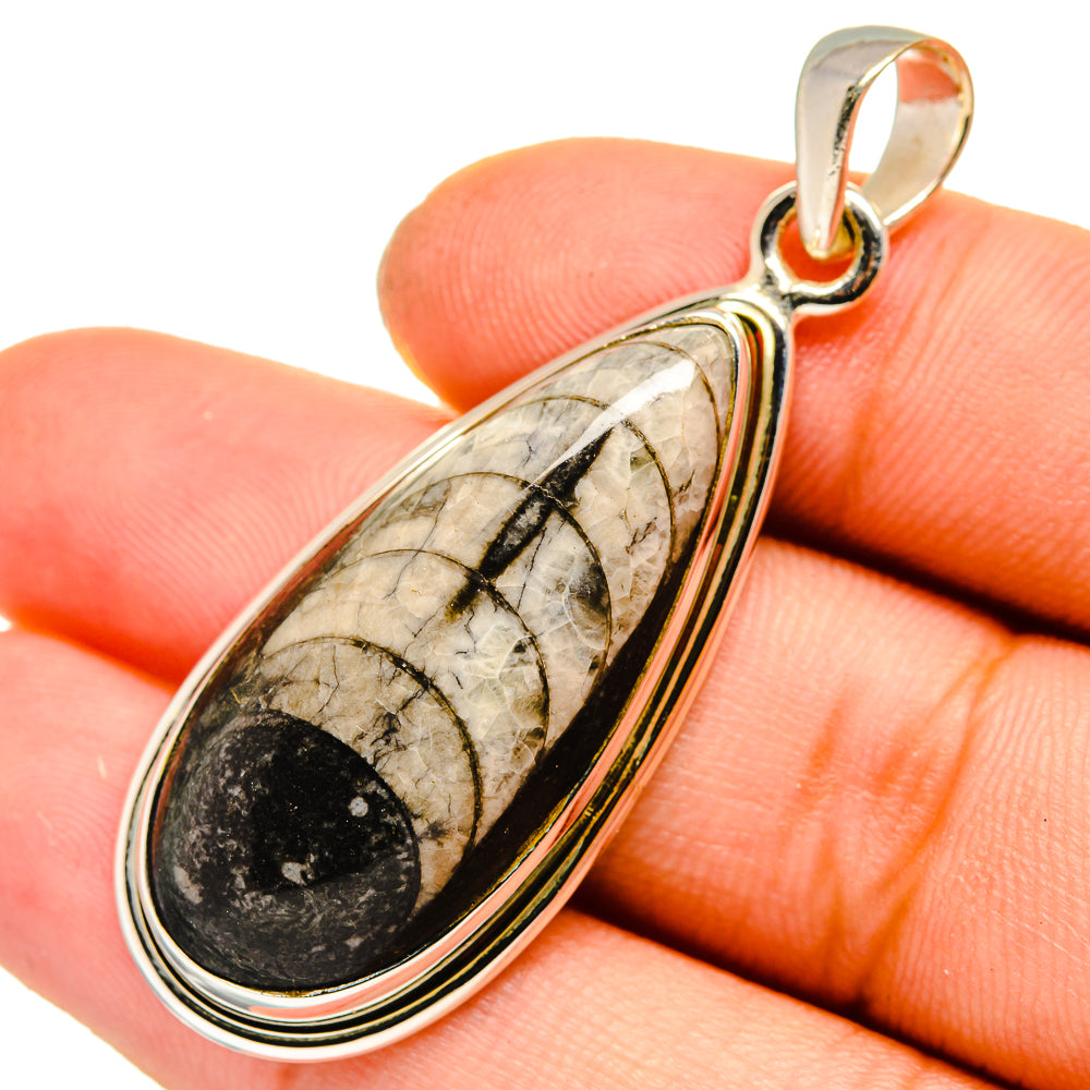 Orthoceras Fossil Pendants handcrafted by Ana Silver Co - PD10043