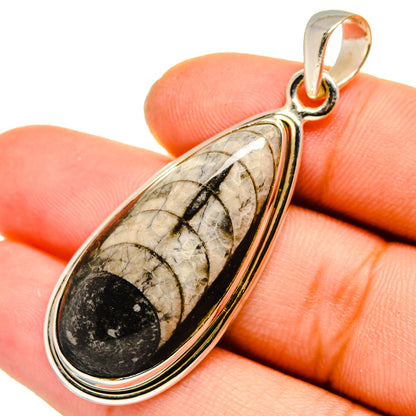 Orthoceras Fossil Pendants handcrafted by Ana Silver Co - PD10043