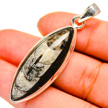 Orthoceras Fossil Pendants handcrafted by Ana Silver Co - PD10044