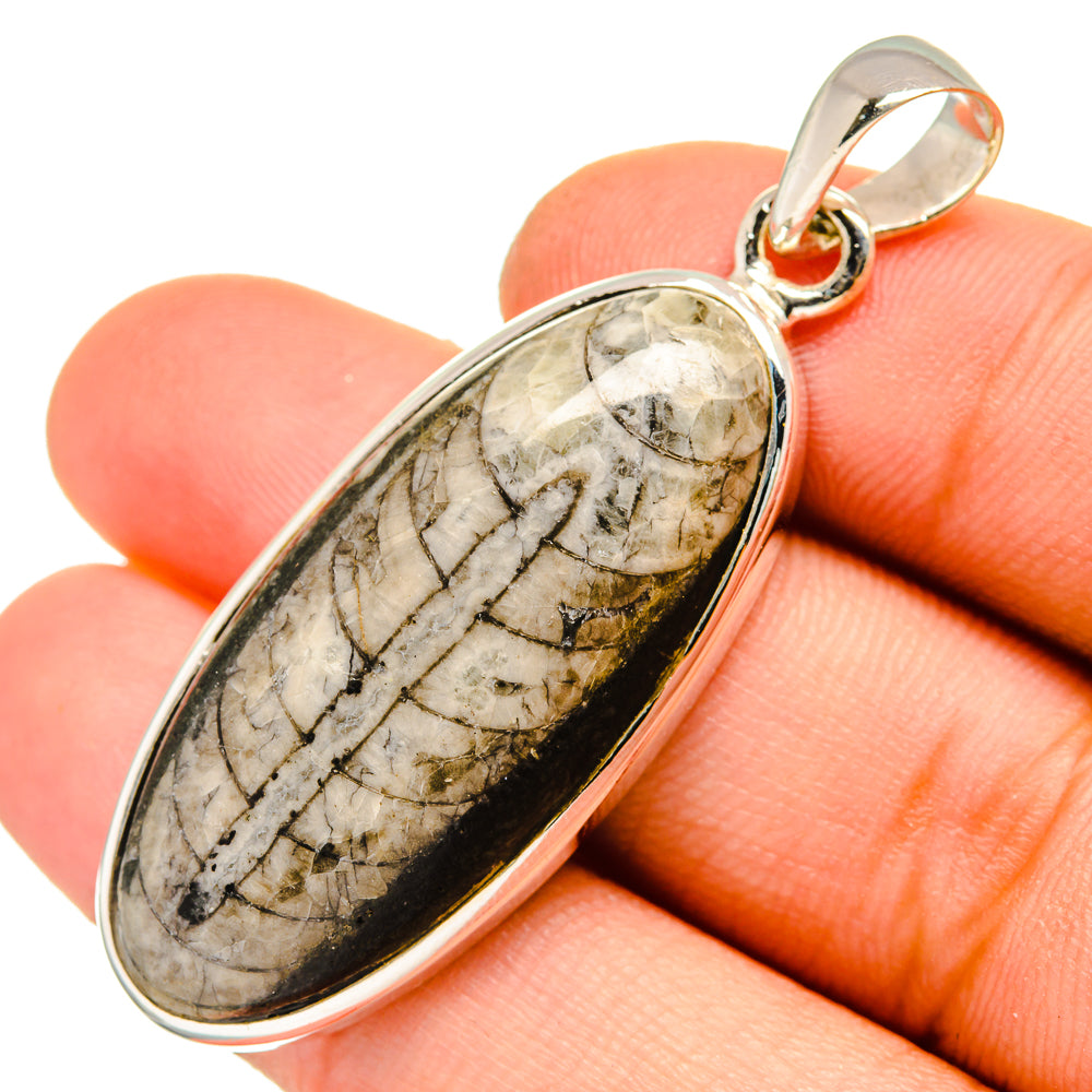 Orthoceras Fossil Pendants handcrafted by Ana Silver Co - PD10045