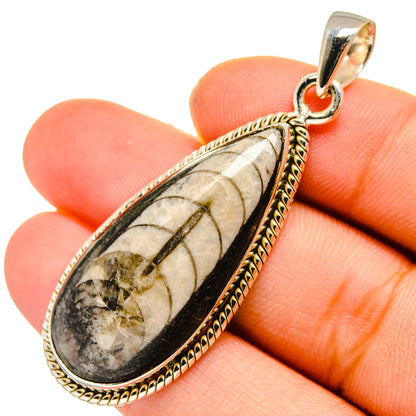 Orthoceras Fossil Pendants handcrafted by Ana Silver Co - PD10046