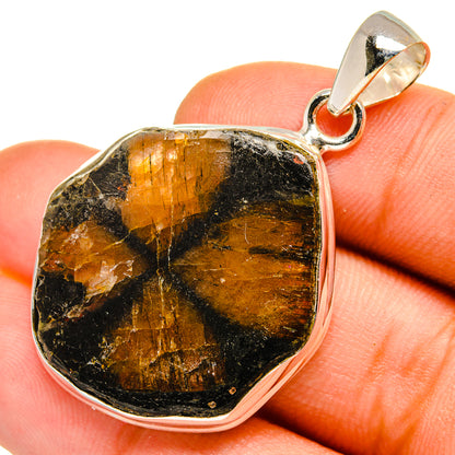 Sterling silver pendant with chiastolite gemstone, black field with golden bands.