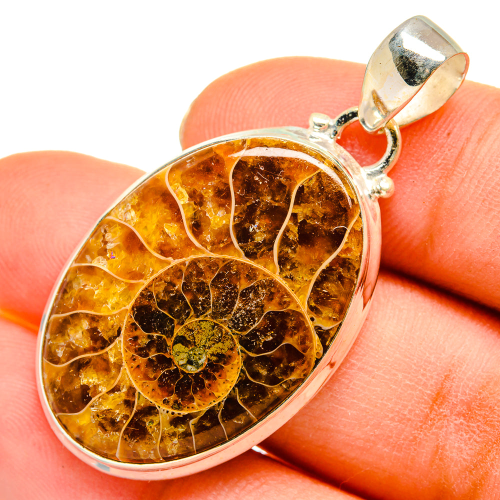 Ammonite Fossil Pendants handcrafted by Ana Silver Co - PD10213
