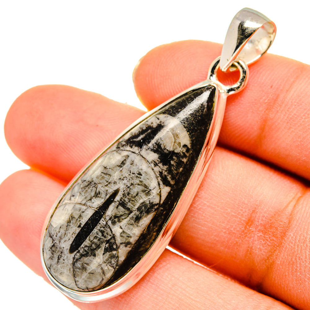 Orthoceras Fossil Pendants handcrafted by Ana Silver Co - PD10225