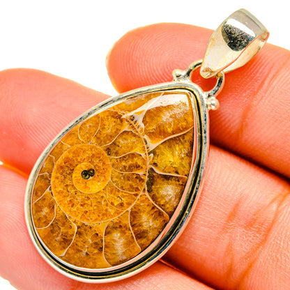 Ammonite Fossil Pendants handcrafted by Ana Silver Co - PD10250