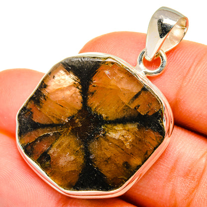 Chiastolite Pendants handcrafted by Ana Silver Co - PD10270