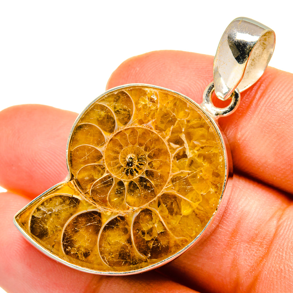 Ammonite Fossil Pendants handcrafted by Ana Silver Co - PD10293