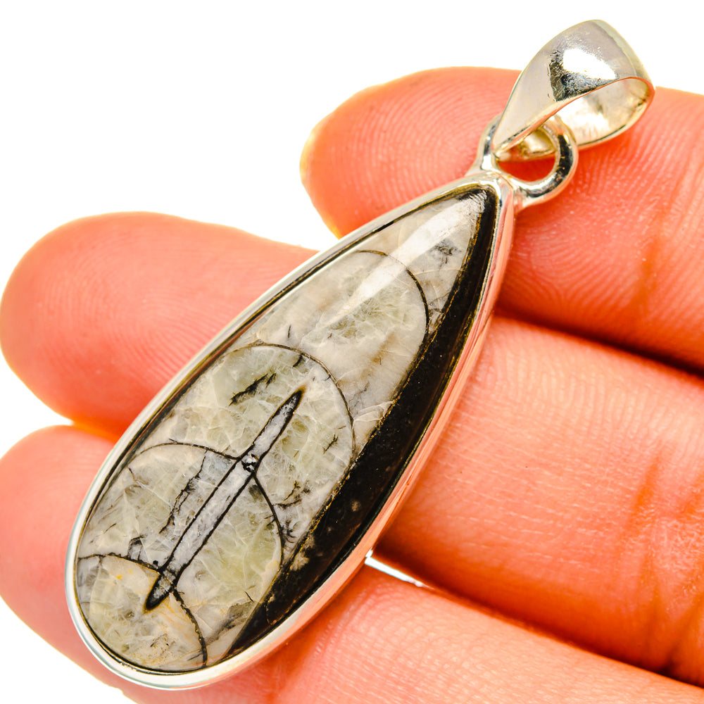Orthoceras Fossil Pendants handcrafted by Ana Silver Co - PD10295