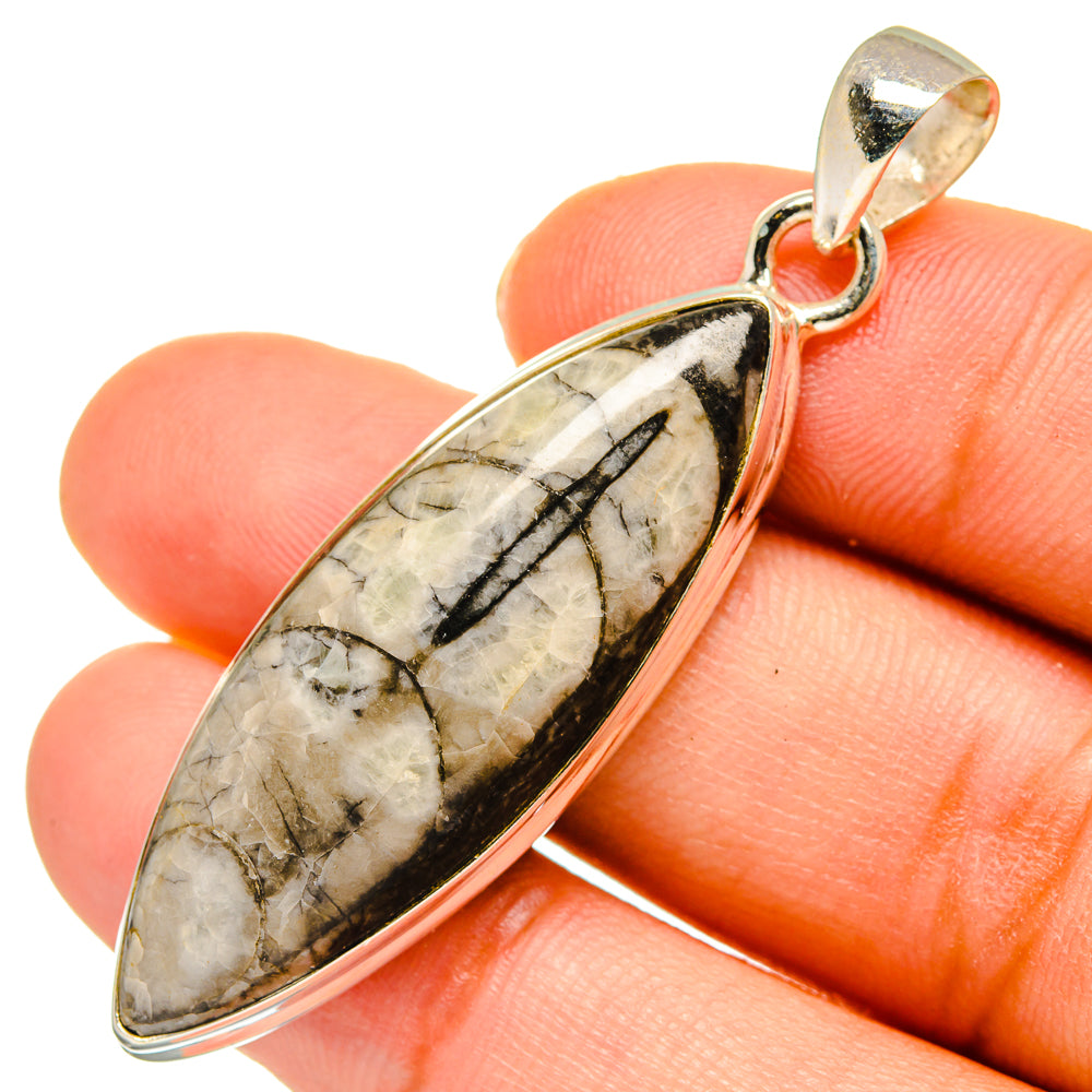 Orthoceras Fossil Pendants handcrafted by Ana Silver Co - PD10301