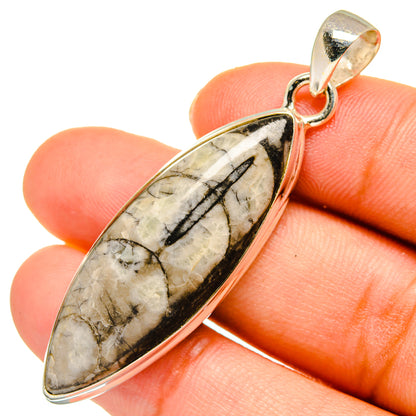 Orthoceras Fossil Pendants handcrafted by Ana Silver Co - PD10301