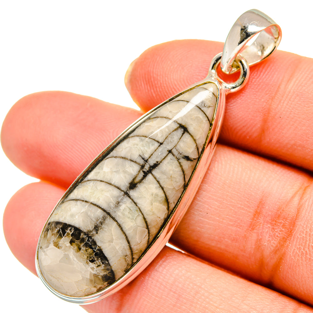 Orthoceras Fossil Pendants handcrafted by Ana Silver Co - PD10338