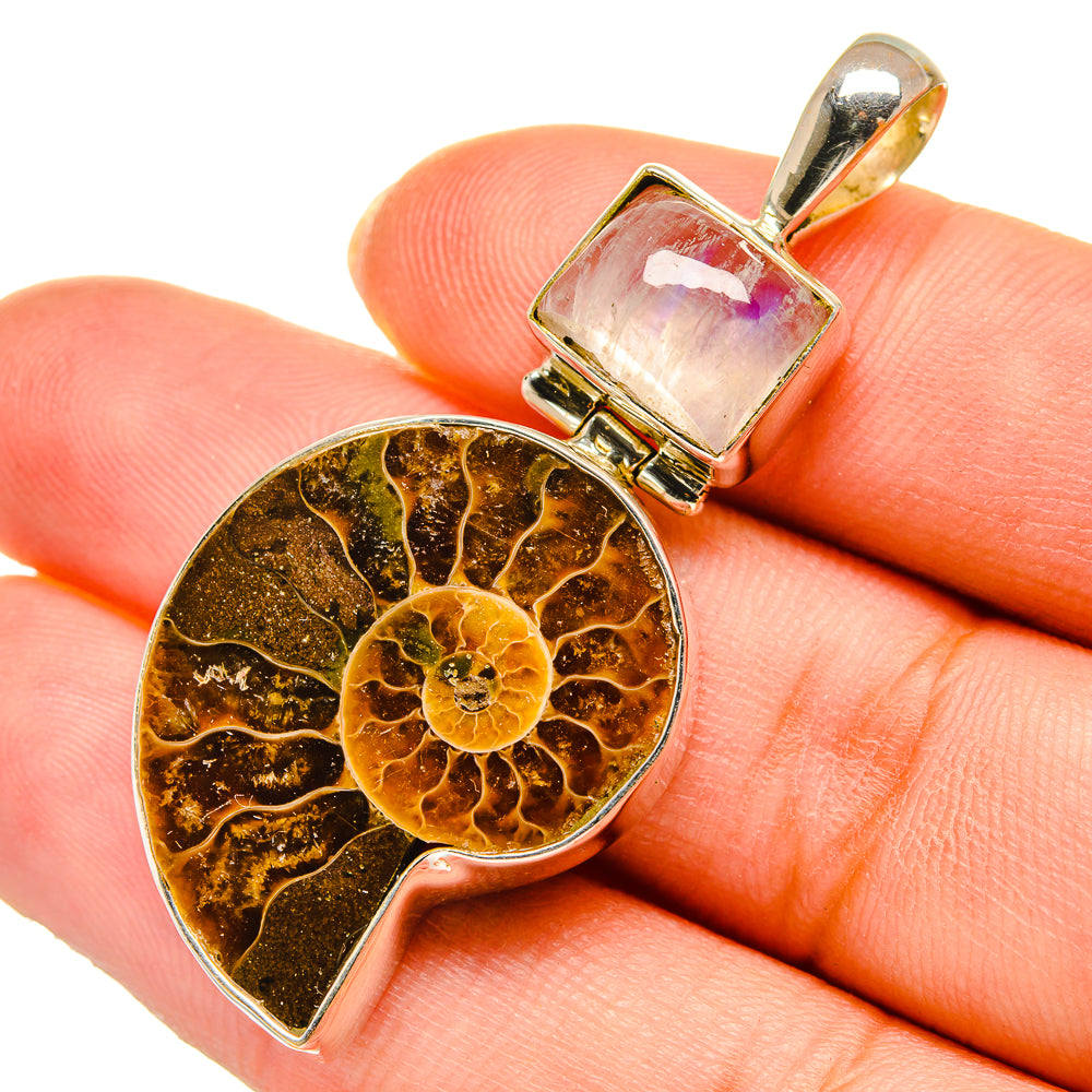 Ammonite Fossil Pendants handcrafted by Ana Silver Co - PD10356