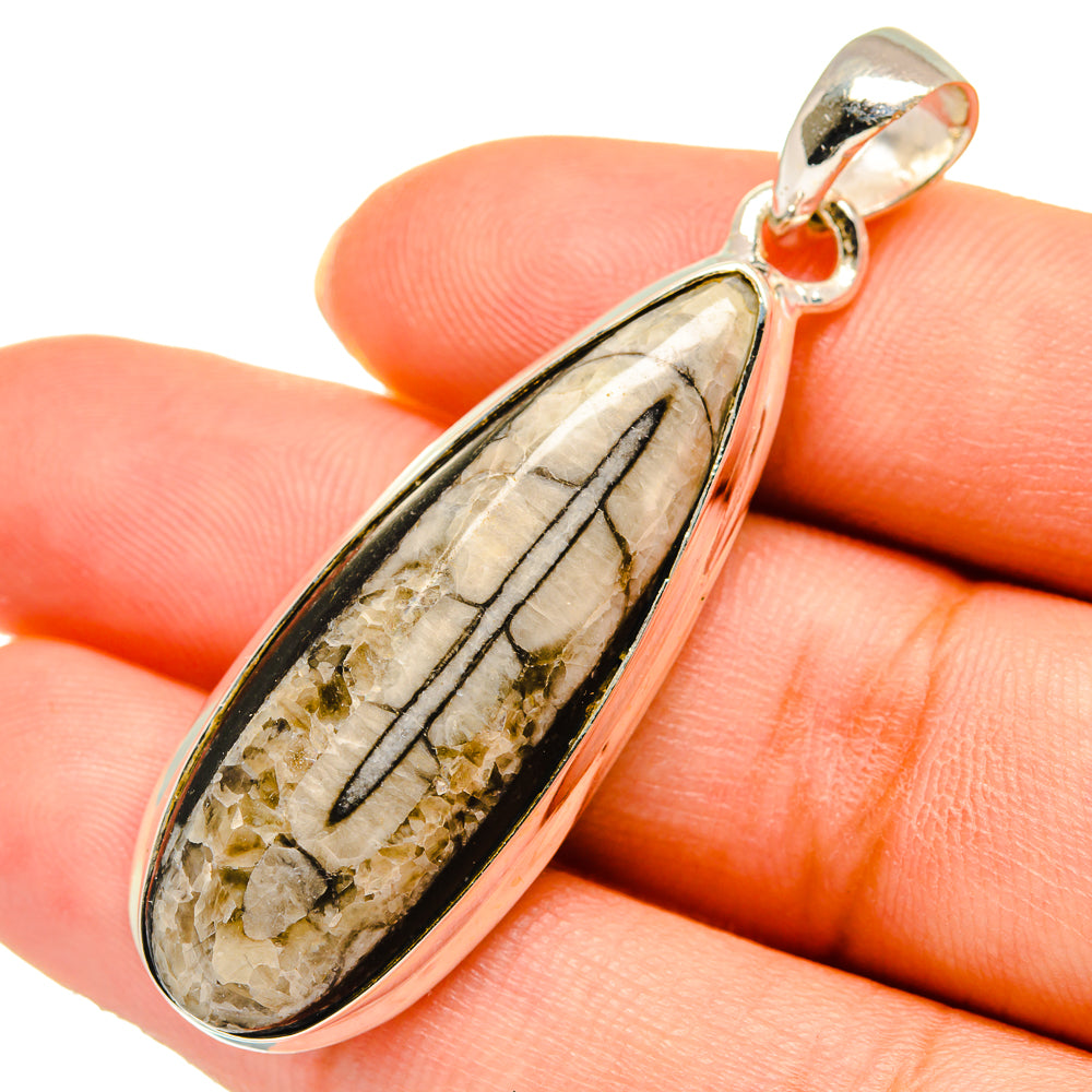 Orthoceras Fossil Pendants handcrafted by Ana Silver Co - PD10405
