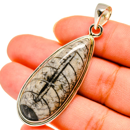 Orthoceras Fossil Pendants handcrafted by Ana Silver Co - PD10406