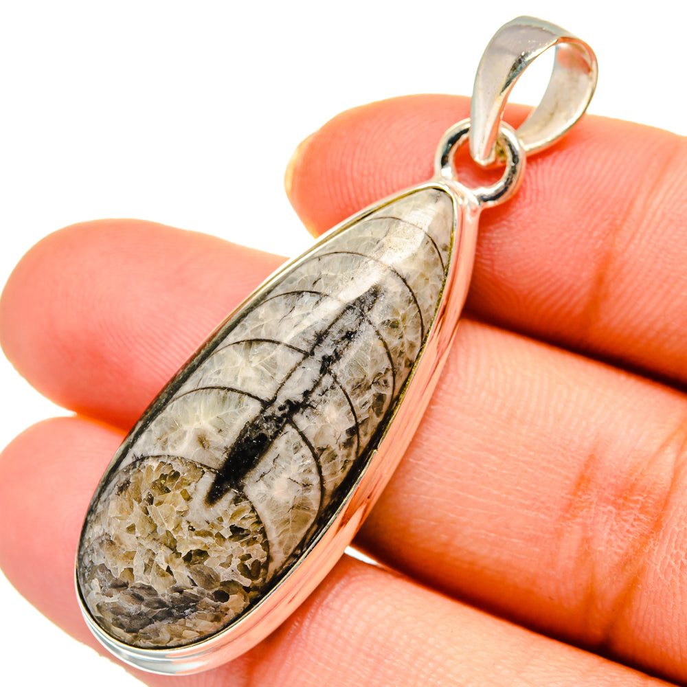 Orthoceras Fossil Pendants handcrafted by Ana Silver Co - PD10436