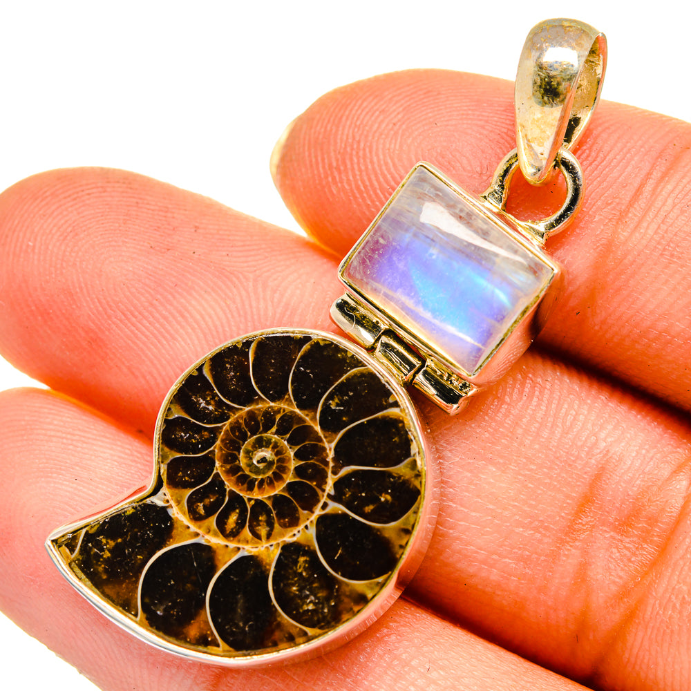 Ammonite Fossil Pendants handcrafted by Ana Silver Co - PD10656