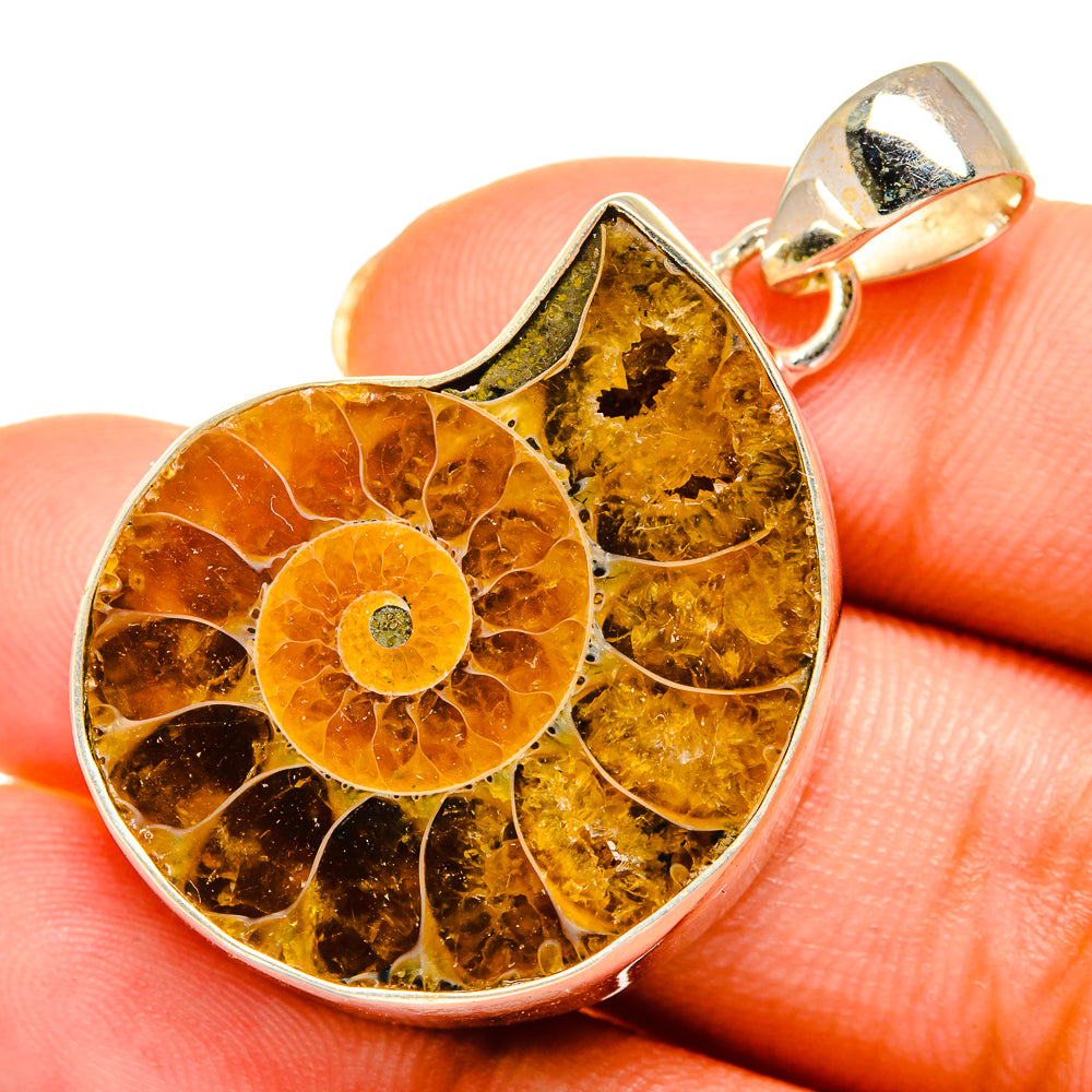 Ammonite Fossil Pendants handcrafted by Ana Silver Co - PD10709