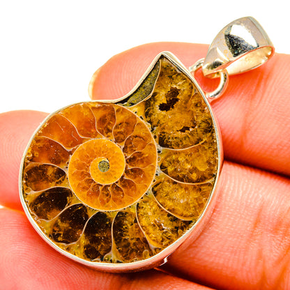 Ammonite Fossil Pendants handcrafted by Ana Silver Co - PD10709