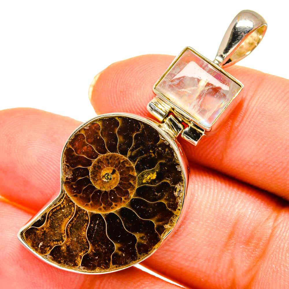 Ammonite Fossil Pendants handcrafted by Ana Silver Co - PD10712