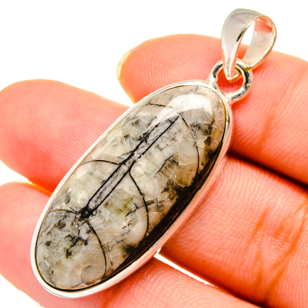 Orthoceras Fossil Pendants handcrafted by Ana Silver Co - PD10715