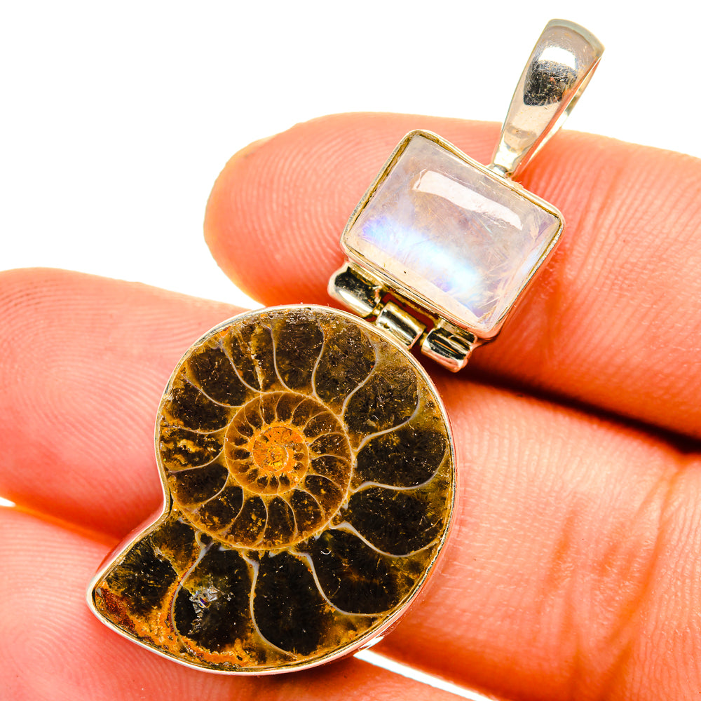 Ammonite Fossil Pendants handcrafted by Ana Silver Co - PD10751