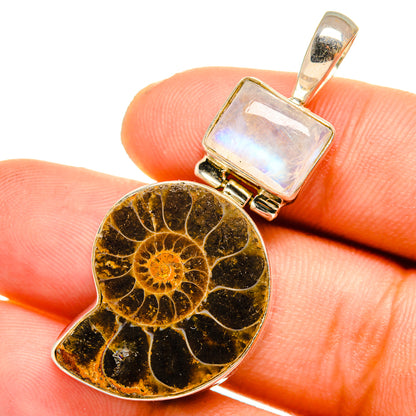 Ammonite Fossil Pendants handcrafted by Ana Silver Co - PD10751