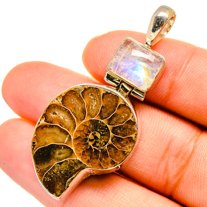 Ammonite Fossil Pendants handcrafted by Ana Silver Co - PD10758