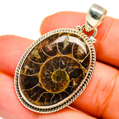 Ammonite Fossil Pendants handcrafted by Ana Silver Co - PD10765
