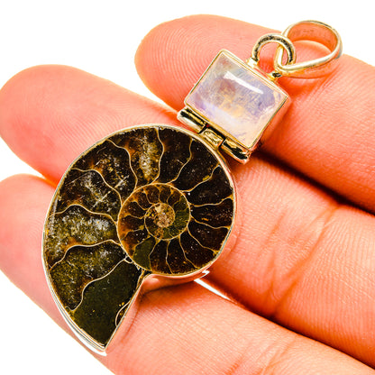 Ammonite Fossil Pendants handcrafted by Ana Silver Co - PD10780