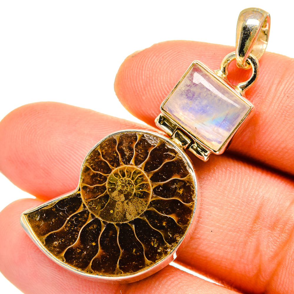 Ammonite Fossil Pendants handcrafted by Ana Silver Co - PD10793